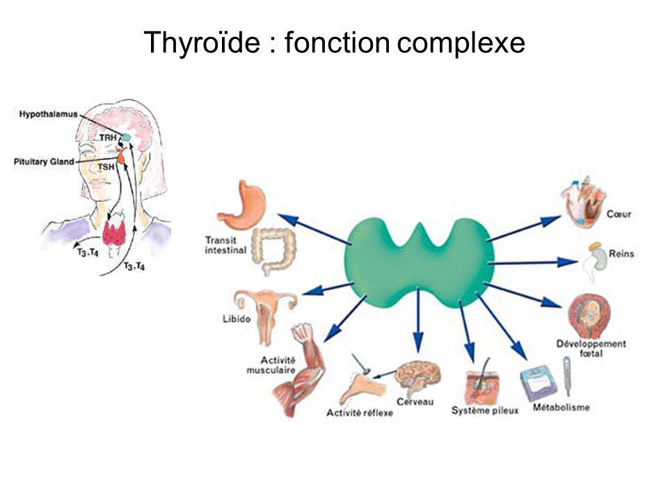 obesite et Thyroïde