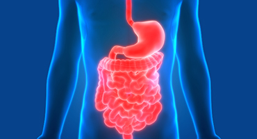 mycose digestive
